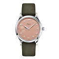 Felix_salmon_breguet